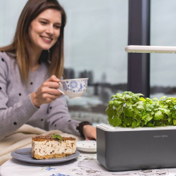 Click &amp; Grow Smart Garden 3 Starts�t