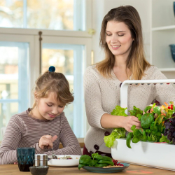 Click &amp; Grow Smart Garden 9 Pro Starter Kit