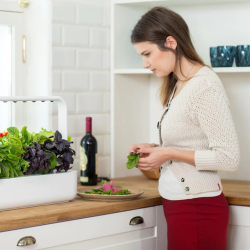 Click &amp; Grow Smart Garden 9 Pro Starter Kit