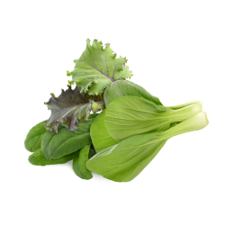 Click &amp; Grow Smart Garden Refill 9-pak