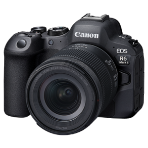 Canon EOS R6 Mark II + RF 24-105mm F4-7.1 IS STM
