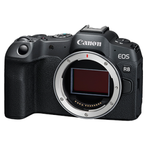 Canon EOS R8 Body