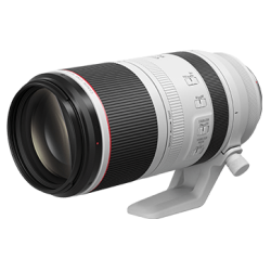 Canon RF 100-500mm F4.5-7.1L IS USM