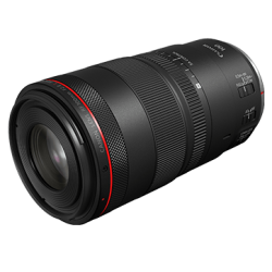 Canon RF 100mm F2.8L Macro IS USM