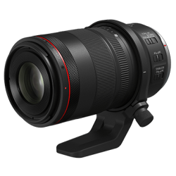 Canon RF 100mm F2.8L Macro IS USM