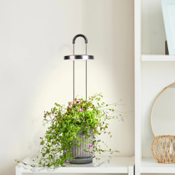 Click &amp; Grow HydroVase plant care kit