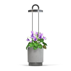 Click & Grow HydroVase plant care kit