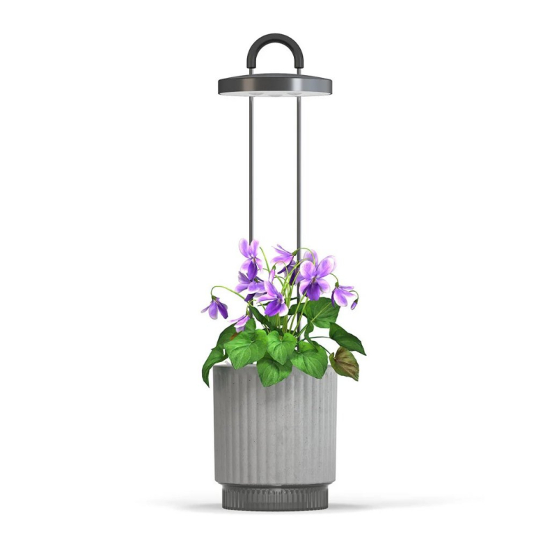 Click &amp; Grow HydroVase plant care kit