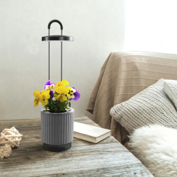 Click &amp; Grow HydroVase plant care kit