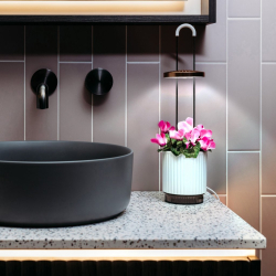 Click &amp; Grow HydroVase plant care kit