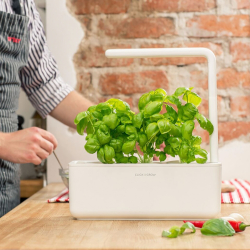 Click &amp; Grow Smart Garden 3 Starts�t