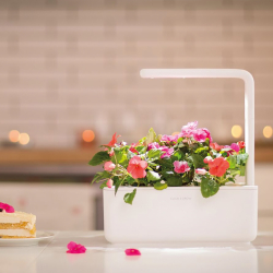 Click &amp; Grow Smart Garden 3 Starts�t