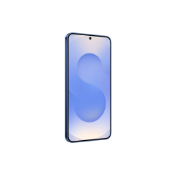 Samsung Galaxy S25