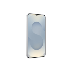 Samsung Galaxy S25