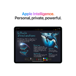 Apple 13-inch iPad Air M3 Wi-Fi + Cellular 256GB Space Grey