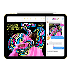 Apple iPad A16 Wi-Fi + Cellular