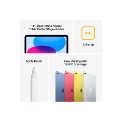 Apple iPad A16 Wi-Fi + Cellular