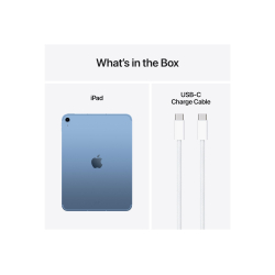 Apple iPad A16 Wi-Fi + Cellular