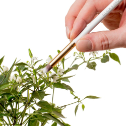 Click &amp; Grow Gardening Accessories Kit � tilbeh�rss�t